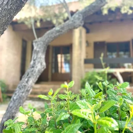 Villa Maison Cian En Provence